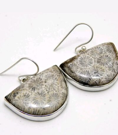 Fossil Coral Earrings