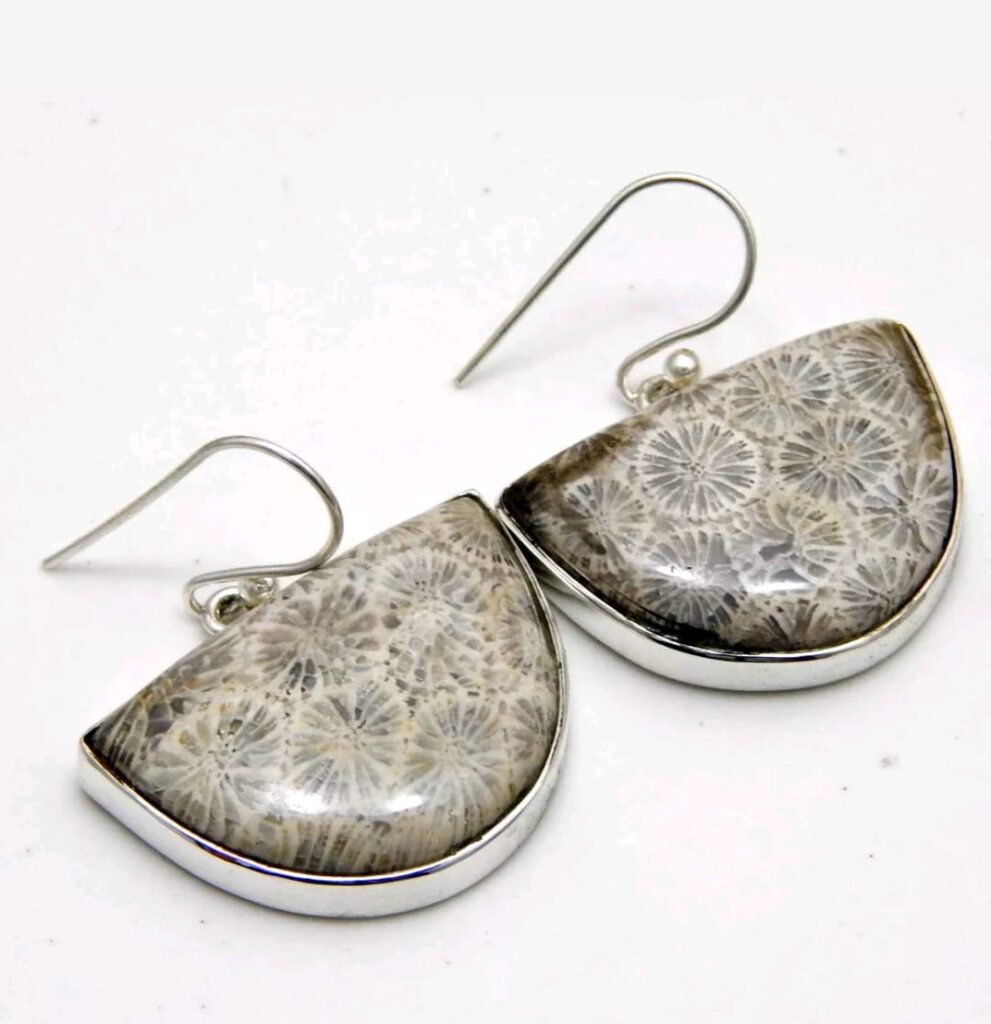 Fossil Coral Earrings