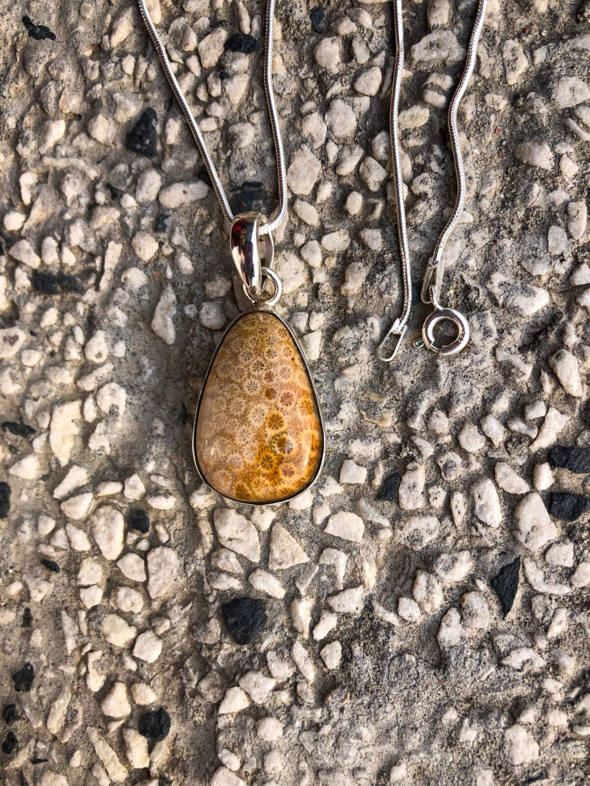 Fossil coral pendant