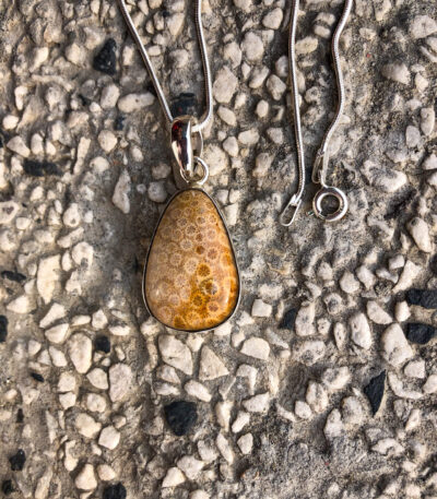 Fossil coral pendant