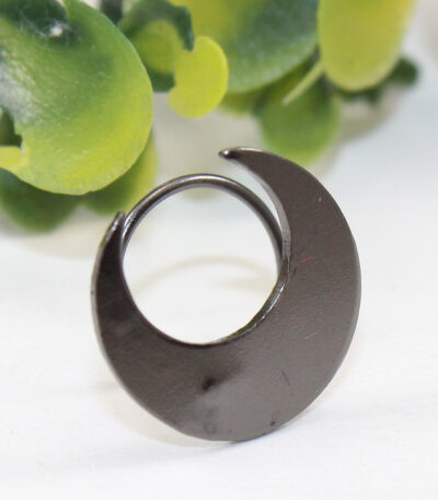 nose pin